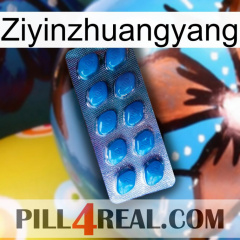Ziyinzhuangyang viagra1